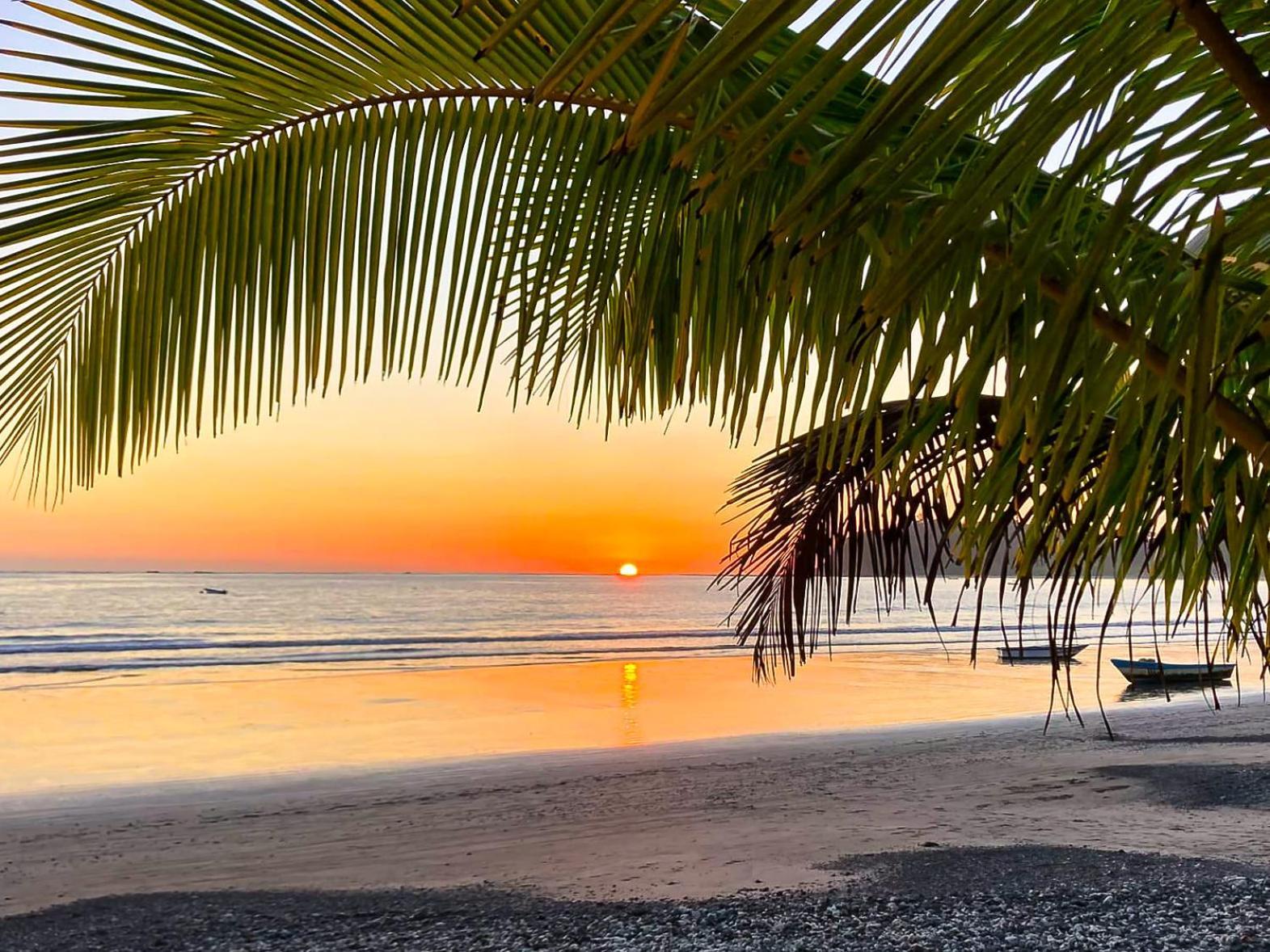 Fenix Hotel - On The Beach Sámara エクステリア 写真