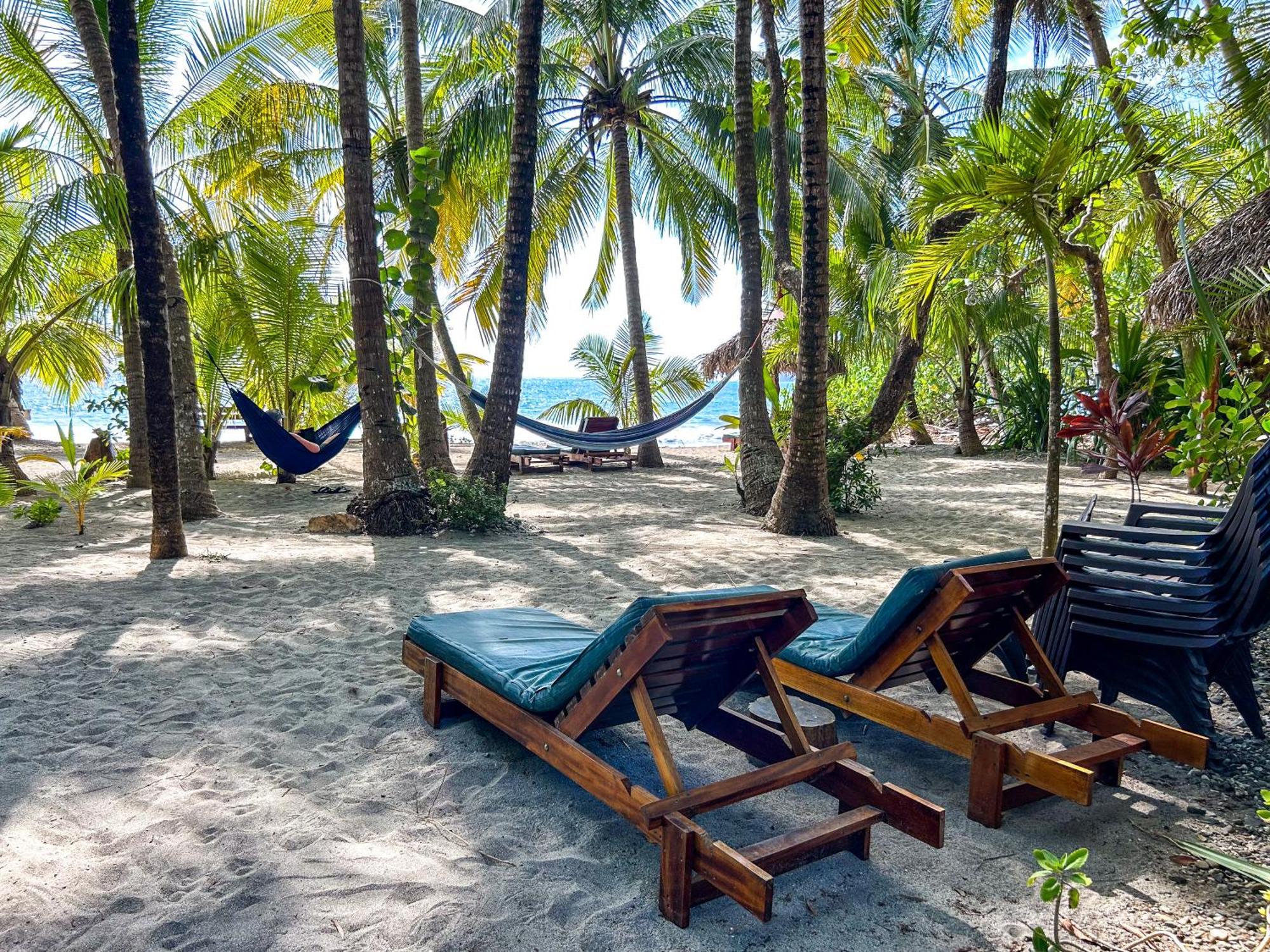 Fenix Hotel - On The Beach Sámara エクステリア 写真