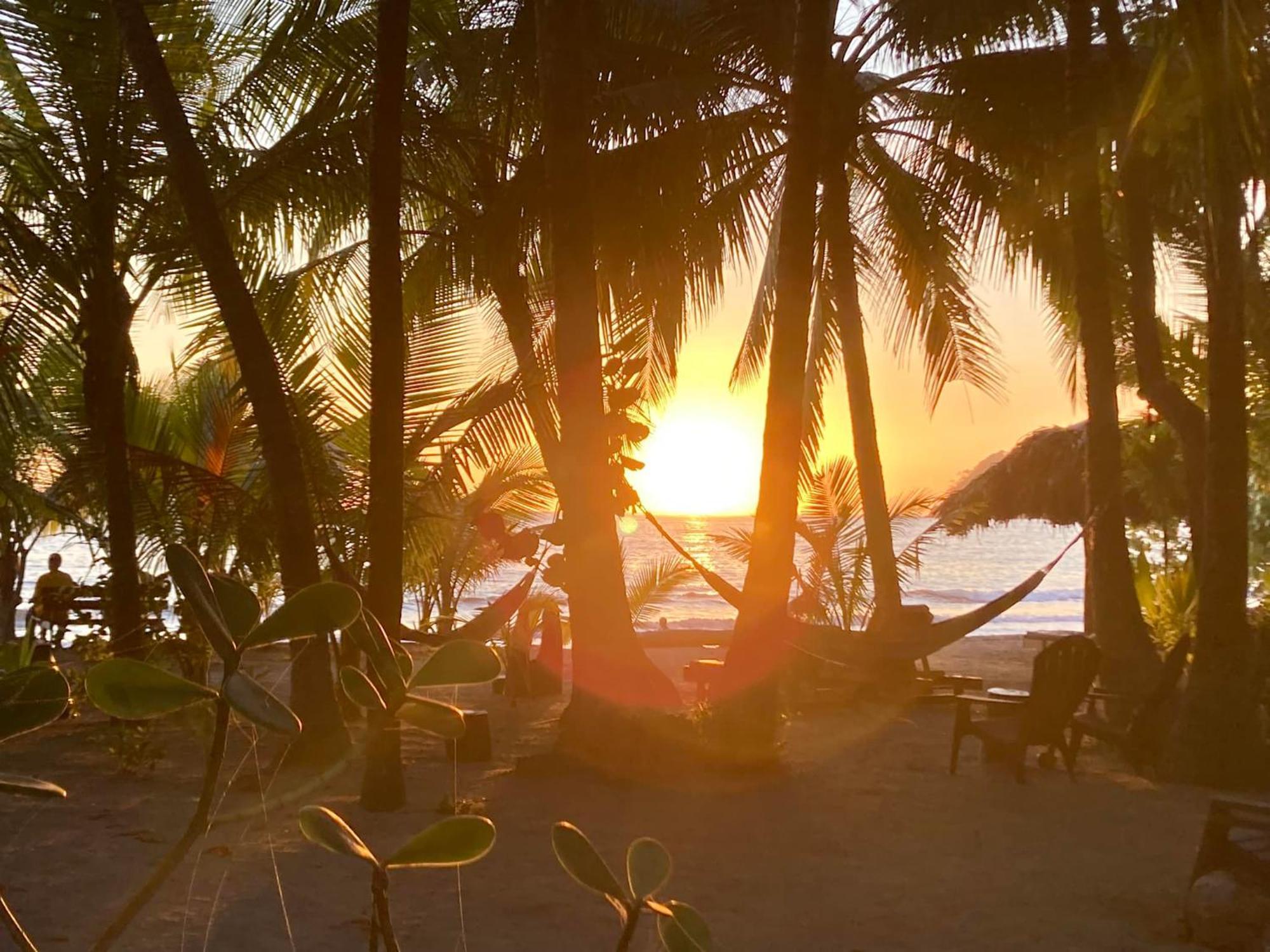 Fenix Hotel - On The Beach Sámara エクステリア 写真